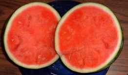 瓜瓜吃瓜故事 爆料网吃瓜黑料反差入口,揭秘爆料网背后的黑料与反差